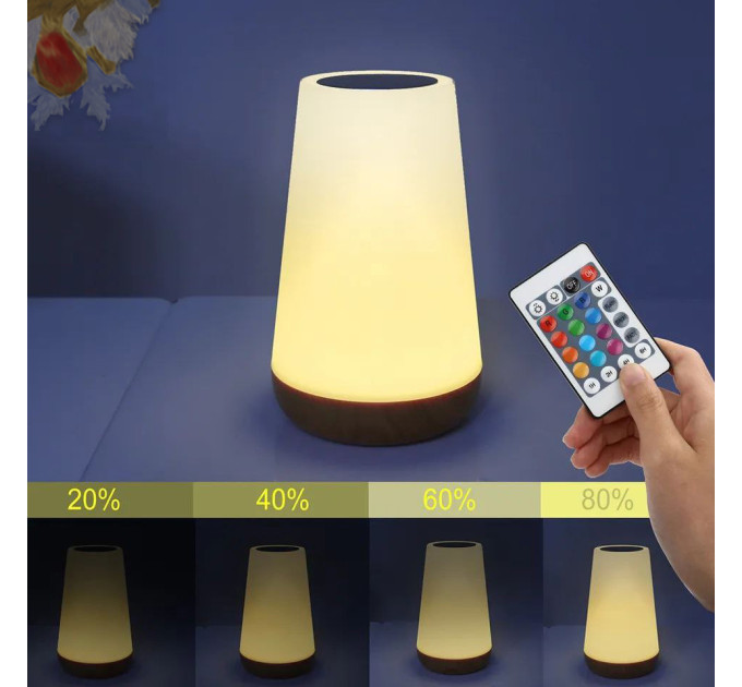 Кемпінгова лампа RGB Dynamic Type-C V1.5 . С пультом Д.У.